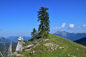 Am Windkogel (1547m)