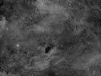 IC 1311, B343 in Ha