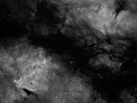 IC 1318 in Ha