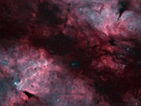 IC 1318