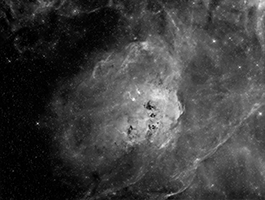 IC 410 in Ha