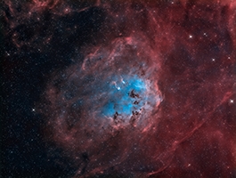 IC 410