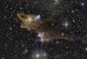 LDN 1235 - Dark Shark Nebula