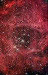 NGC 2237-46