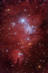 NGC 2264