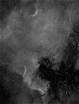 NGC 7000 in Ha
