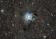 NGC 7023