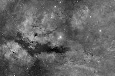 IC 1311, IC 1318, NGC 6910 in Ha