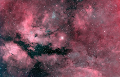 IC 1311, IC 1318, NGC 6910