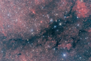 LDN 998 Region in Cygnus
