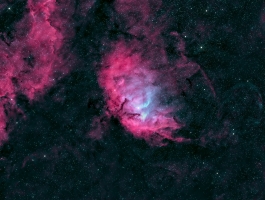 Sh2-101 - Tulip Nebula